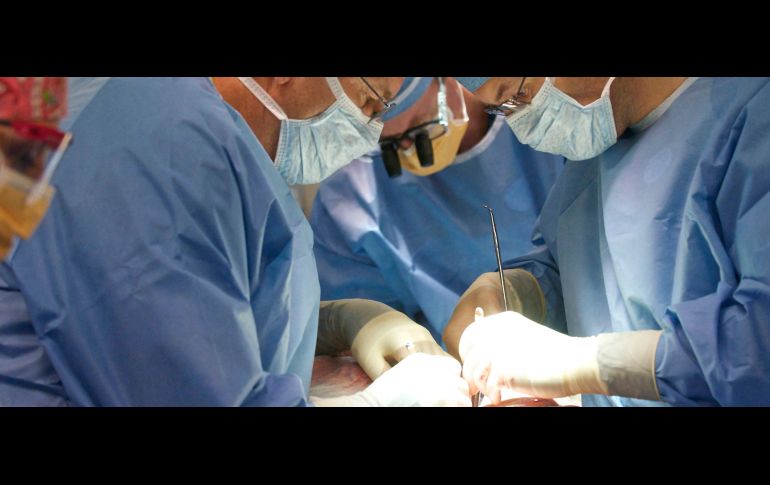 Se han llevado a cabo 103 trasplantes en lo que va del año. El Informador/Archivo