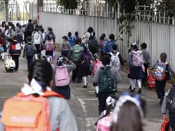 A la brevedad, comenzarán a ser repartidos los siete millones de libros de nivel primaria que ya están en bodegas para que puedan ser entregados a las y los alumnos. SUN / O. Contreras