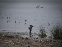 De acuerdo con expertos,  la capacidad de almacenamiento en las presas y el lago de Chapala no garantizará el abasto de agua para la ZMG. EL INFORMADOR/ ARCHIVO