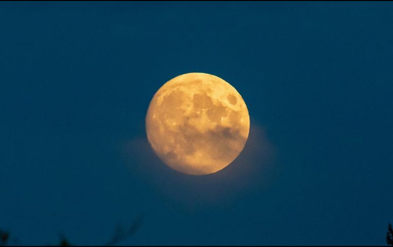 Entérate qué le depara a tu signo zodiacal con la segunda súperluna llena del año. ESPECIAL/pixabay