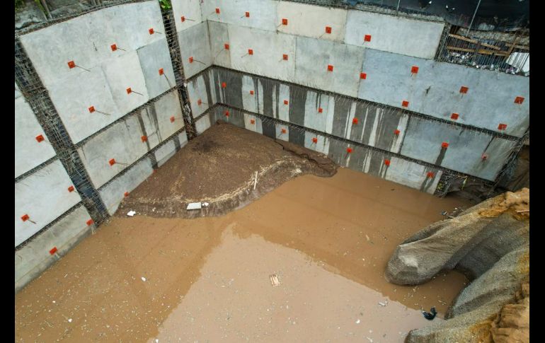 El socavón además engulló un árbol que se encuentra sobre la banqueta y dañó un poste del tendido eléctrico. EL INFORMADOR / A. Navarro