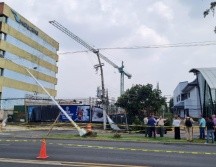El socavón además engulló un árbol que se encuentra sobre la banqueta y dañó un poste del tendido eléctrico. EL INFORMADOR / J. Velazco