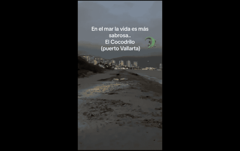 Según reportes de medios locales, fueron 8 cocodrilos los que salieron del estero que se encuentra localizado en Boca de Tomates, próxima a la zona hotelera de Marina Vallarta. FACEBOOK / Don Venancio