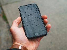 Foto de Bannon Morrissy en Unsplash