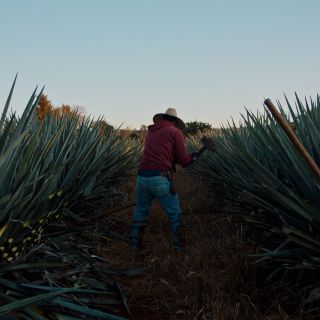 La recomendación de hoy en la cartelera de cine es “Dos Estaciones”