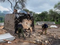 Todavía no se obtiene alguna información sobre la genética de los mismos “debido a lo complejo que ha sido trabajar con ellos ante las condiciones en las que fueron hallados”. TWITTER/@FiscaliaJal