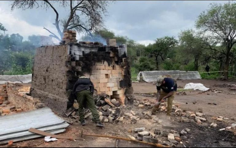 Todavía no se obtiene alguna información sobre la genética de los mismos “debido a lo complejo que ha sido trabajar con ellos ante las condiciones en las que fueron hallados”. TWITTER/@FiscaliaJal