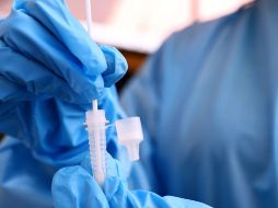 Tedros reconoció que actualmente ninguna variante del coronavirus se ha mostrado como dominante a nivel global, si bien una de ellas, la EG.5 está en ascenso. AFP / ARCHIVO