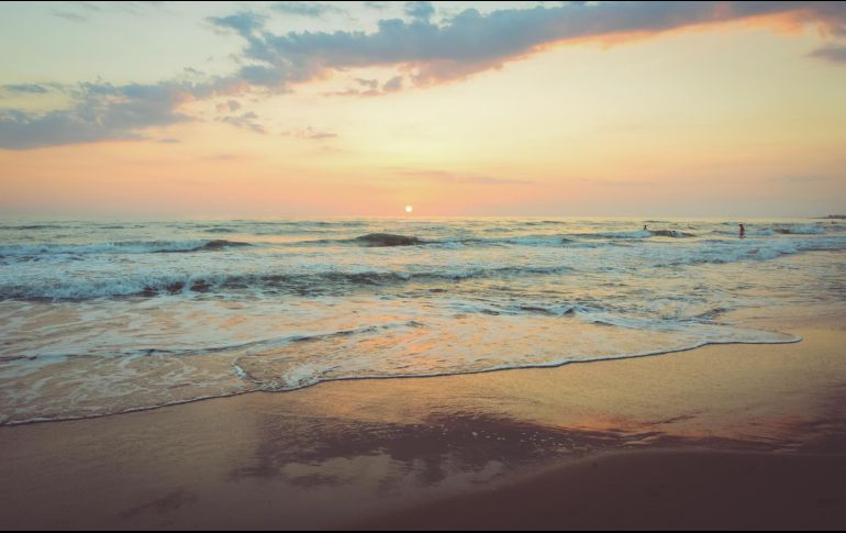 Si quieres salir de vacaciones y estás entre Puerto Vallarta y Nuevo Vallarta, te decimos cuál destino es más bonito. Unsplash.