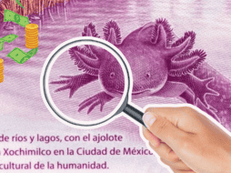 Debido a la impresión masiva de estos billetes, solo algunos tendrán un valor mayor. Especial / Banco de México