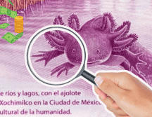 Debido a la impresión masiva de estos billetes, solo algunos tendrán un valor mayor. Especial / Banco de México