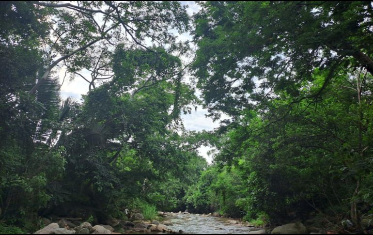 EL INFORMADOR / O. Álvarez