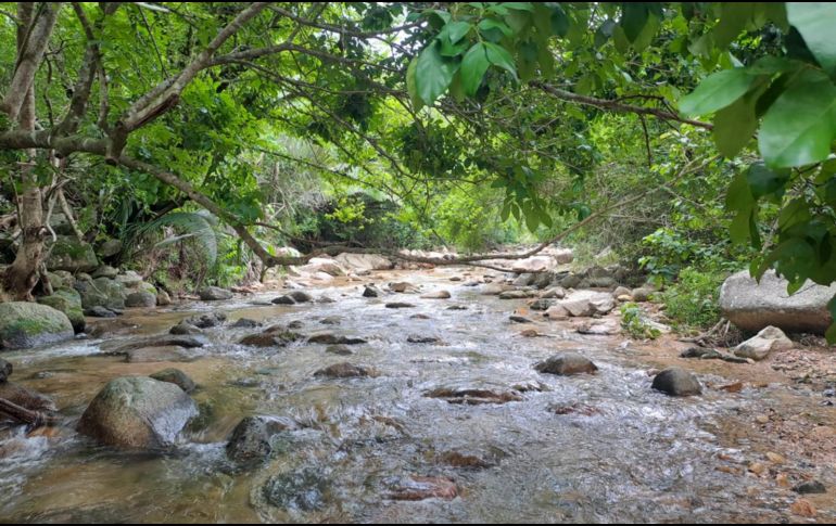 EL INFORMADOR / O. Álvarez