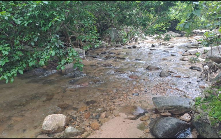 EL INFORMADOR / O. Álvarez