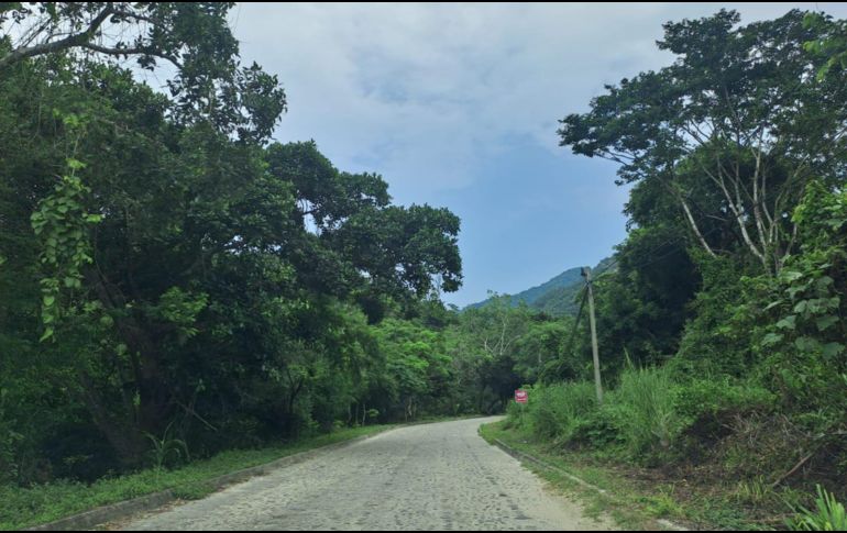 EL INFORMADOR / O. Álvarez