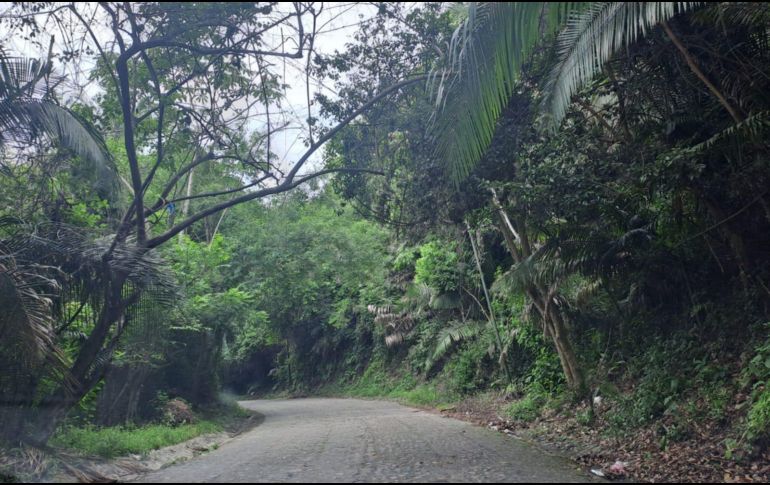 EL INFORMADOR / O. Álvarez