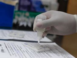 Ante el aumento reciente de casos, expertos recomiendan apostar de momento por las vacunas como herramienta para limitar el contagio. EFE / DFA