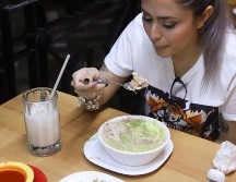 A continuación te decimos cuáles son las 6 pozolerías más famosas de la CDMX. EL INFORMADOR/ARCHIVO