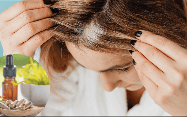 Las canas indican que el cabello comienza a perder la pigmentación. ESPECIAL