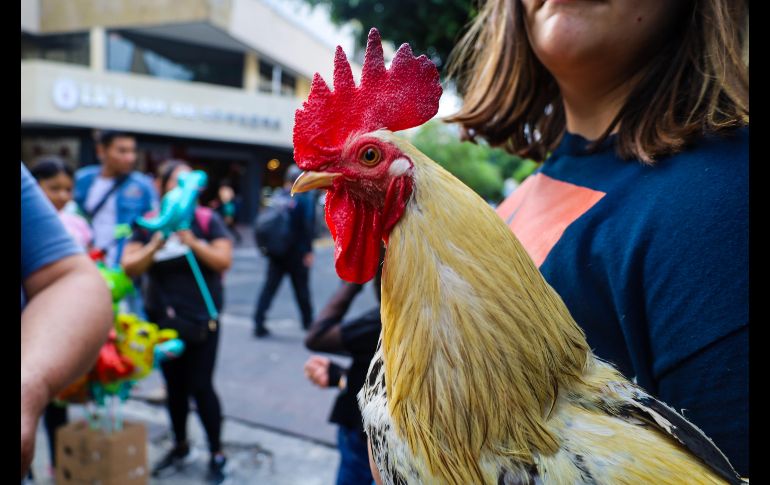 Así se vivió el Grito de la Independencia en el Centro de Guadalajara