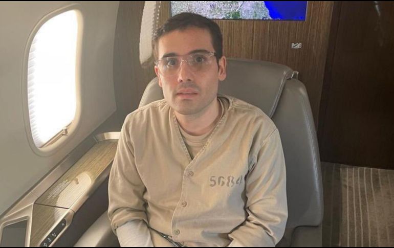 En la comparecencia, 