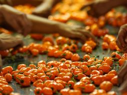 Un consumo excesivo de picante puede tener efectos negativos en la salud. NTX / ARCHIVO