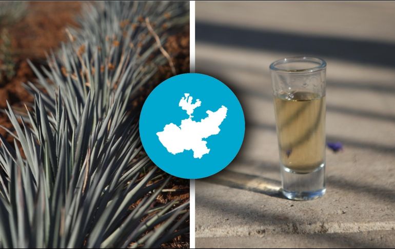 El Consejo Regulador del Tequila (CRT) es el organismo que vigila el cumplimiento de la normativa en materia de elaboración de tequila en México. EL INFORMADOR / ARCHIVO