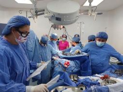 Un donador de órganos tiene la posibilidad de salvar hasta ocho vidas y una persona puede donar corazón, riñones, intestino, además de tejidos como córneas, hueso y piel.