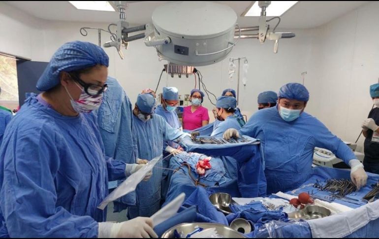 Un donador de órganos tiene la posibilidad de salvar hasta ocho vidas y una persona puede donar corazón, riñones, intestino, además de tejidos como córneas, hueso y piel.