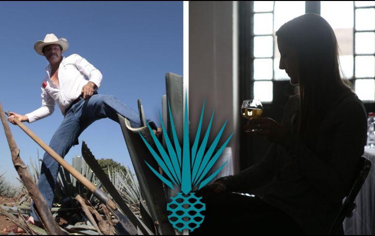 Del total de producción, 280.7 millones de litros fueron exportados, hasta agosto de 2023; 182.4 millones de litros de tequila 100% de agave y 98.3 millones de litros de tequila. EL INFORMADOR / ARCHIVO