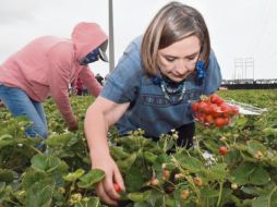 La senadora visitó a los connacionales que radican en Los Ángeles. ESPECIAL