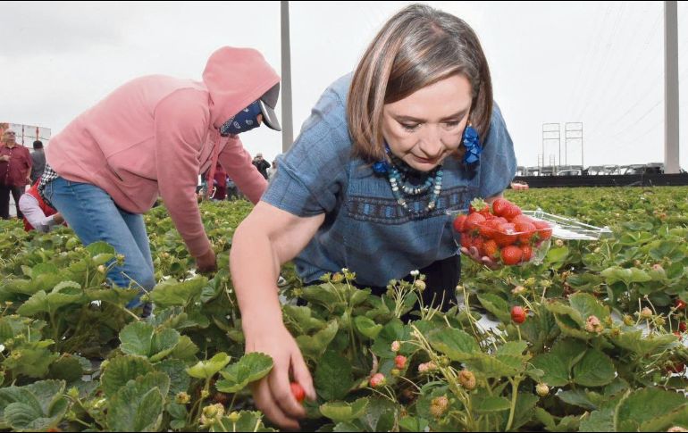 La senadora visitó a los connacionales que radican en Los Ángeles. ESPECIAL