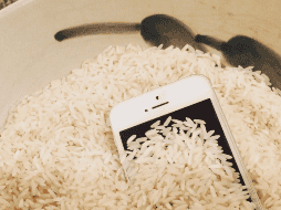 Esto es todo lo que debes de saber sobre meter tu celular al arroz. ESPECIAL