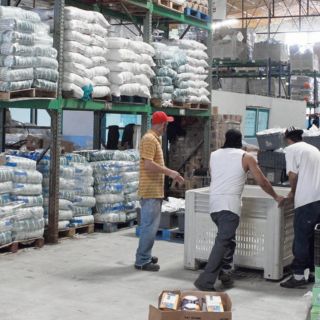 Organismos civiles consolidan influencia en la vida pública