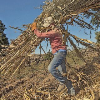Jalisco consolida liderazgo en sector agroalimentario