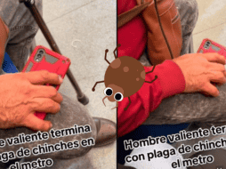 Ante la plaga de chinches se han viralizado varios vídeos que tratan este tema, y en uno de ellos un 
