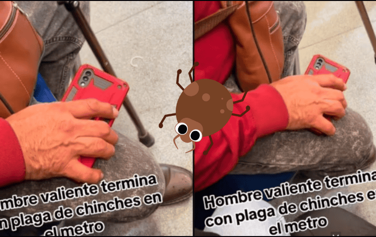 Ante la plaga de chinches se han viralizado varios vídeos que tratan este tema, y en uno de ellos un 