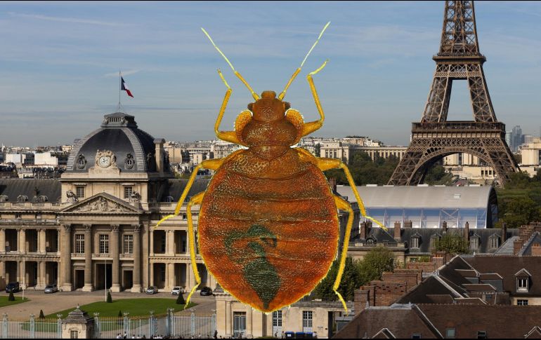 Los Juegos Olímpicos podrían ser la ocasión ideal para la infestación por parte de estos insectos que adoran a las multitudes. ESPECIAL / AFP