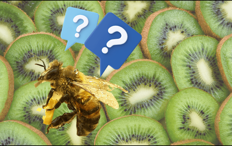 Las abejas podrían considerarse maltratadas cuando se habla de la polinización del kiwi. ESPECIAL / PIXABAY vía Photomix