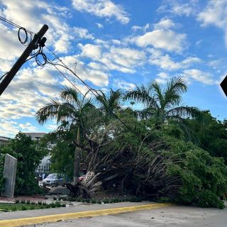 Huracán "Lidia" sí dejó saldo rojo; reportan un muerto tras su paso