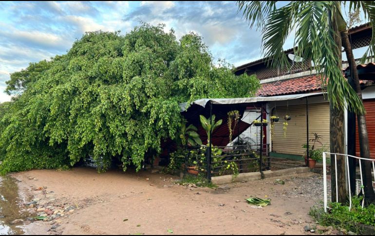 Autlán fue el municipio más afectado en Jalisco tras el paso del huracán 