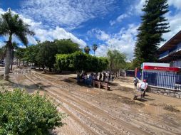 En el Centro Universitario de la Costa (CUCosta) hubo inundaciones y caída de más de 30 árboles y postes con lámparas en su sede de Puerto Vallarta y en la Escuela de Arte Culinario. CORTESÍA