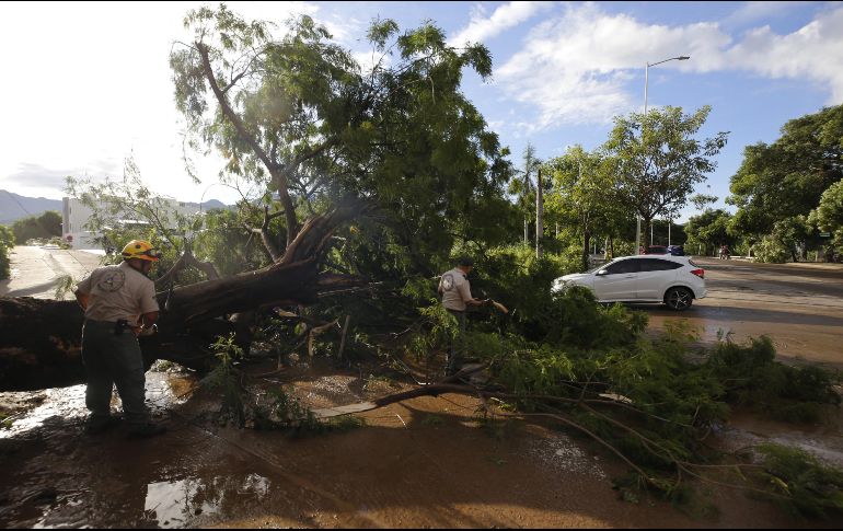 Tras los daños ocasionados por las recientes lluvias, López Obrador señaló que no todo es malo, porque permitió que en Sinaloa, Jalisco y Nayarit las presas tengan agua porque este año pegó muy fuerte la sequía. AFP / U. Ruiz