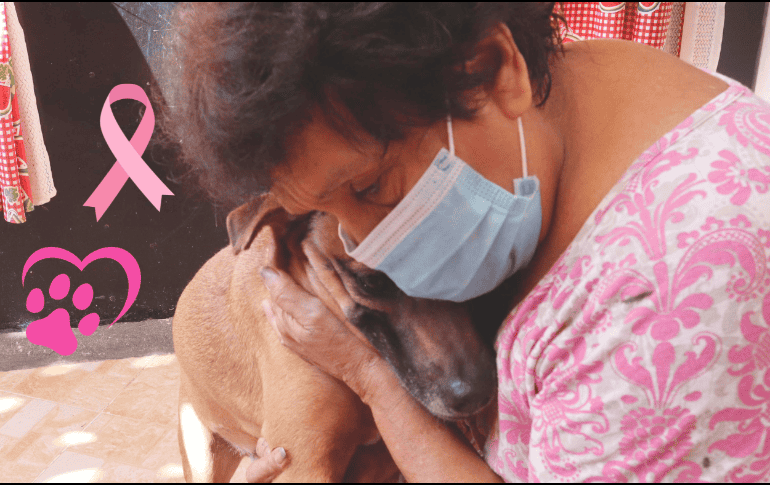 La atención veterinaria oportuna y especializada es esencial para el tratamiento exitoso del cáncer de mama en perras. SUN / ARCHIVO