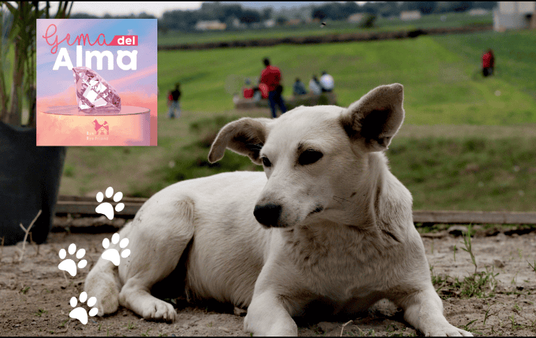 SUN / ARCHIVO | ESPECIAL / Bye Bye Friend