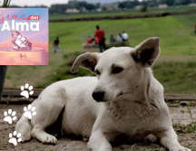 SUN / ARCHIVO | ESPECIAL / Bye Bye Friend