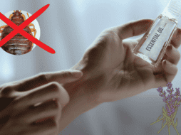 Si quieres que las chinches no se te suban, te decimos qué esencias naturales puedes rociar en tu ropa. Unsplash/ Especial.