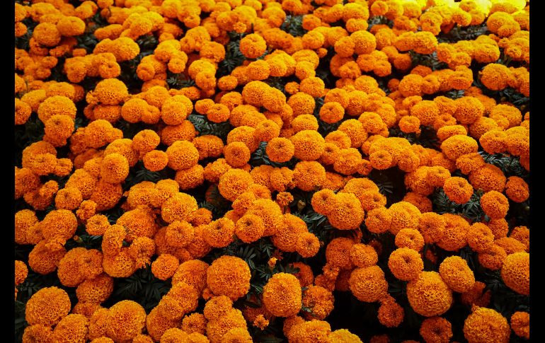 La feria tendrá un horario de lunes a domingo de 10:00 a 20:00 horas. EL INFORMADOR / H. Figueroa