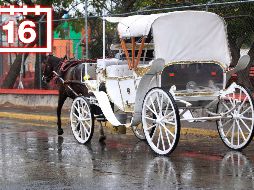 Las lluvias estarán acompañadas con descargas eléctricas y posible caída de granizo. EL INFORMADOR / ARCHIVO