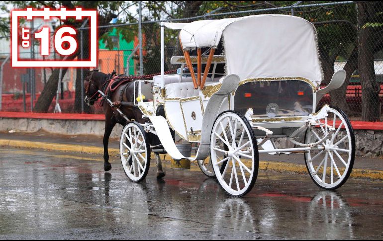 Las lluvias estarán acompañadas con descargas eléctricas y posible caída de granizo. EL INFORMADOR / ARCHIVO